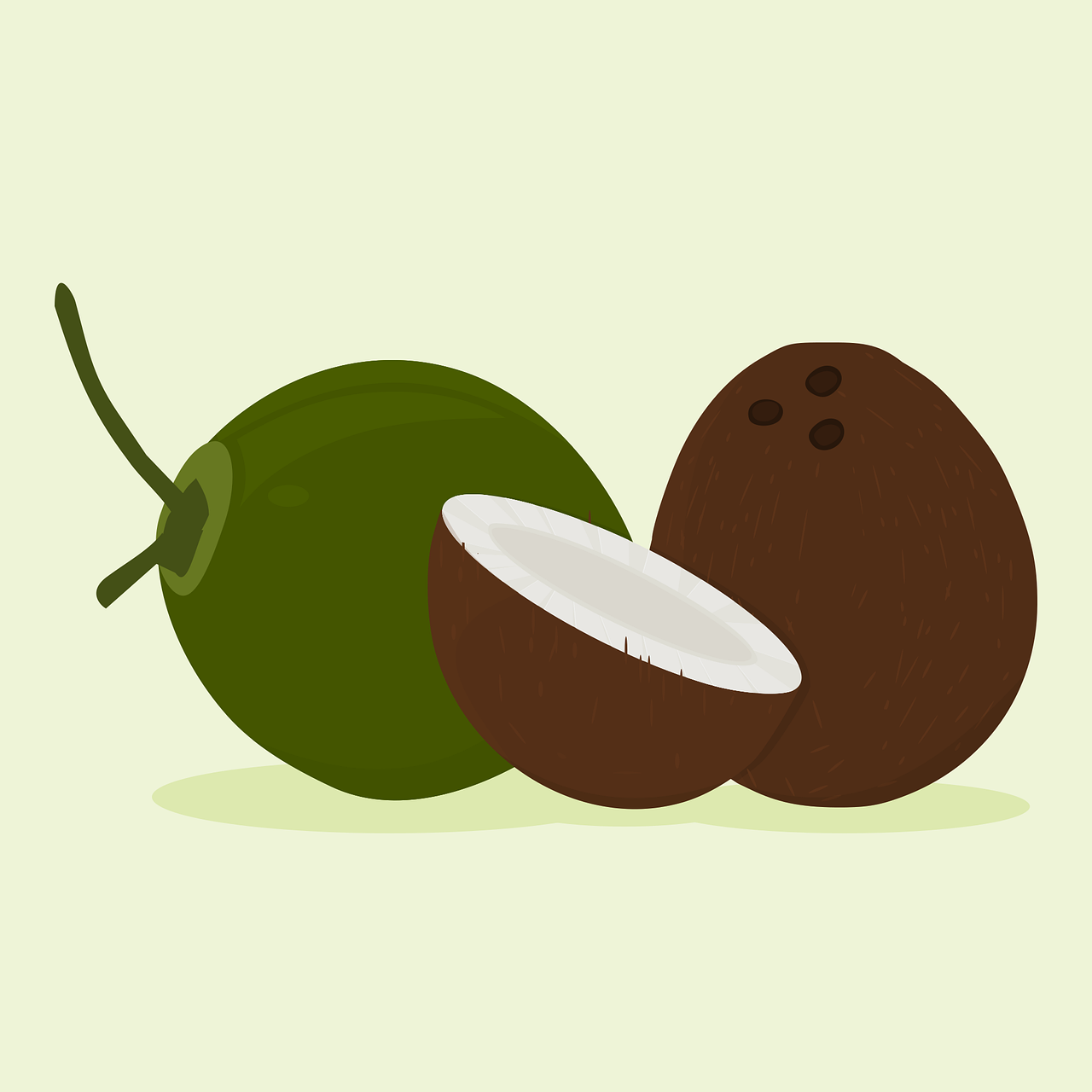 coconut-7080637_1280